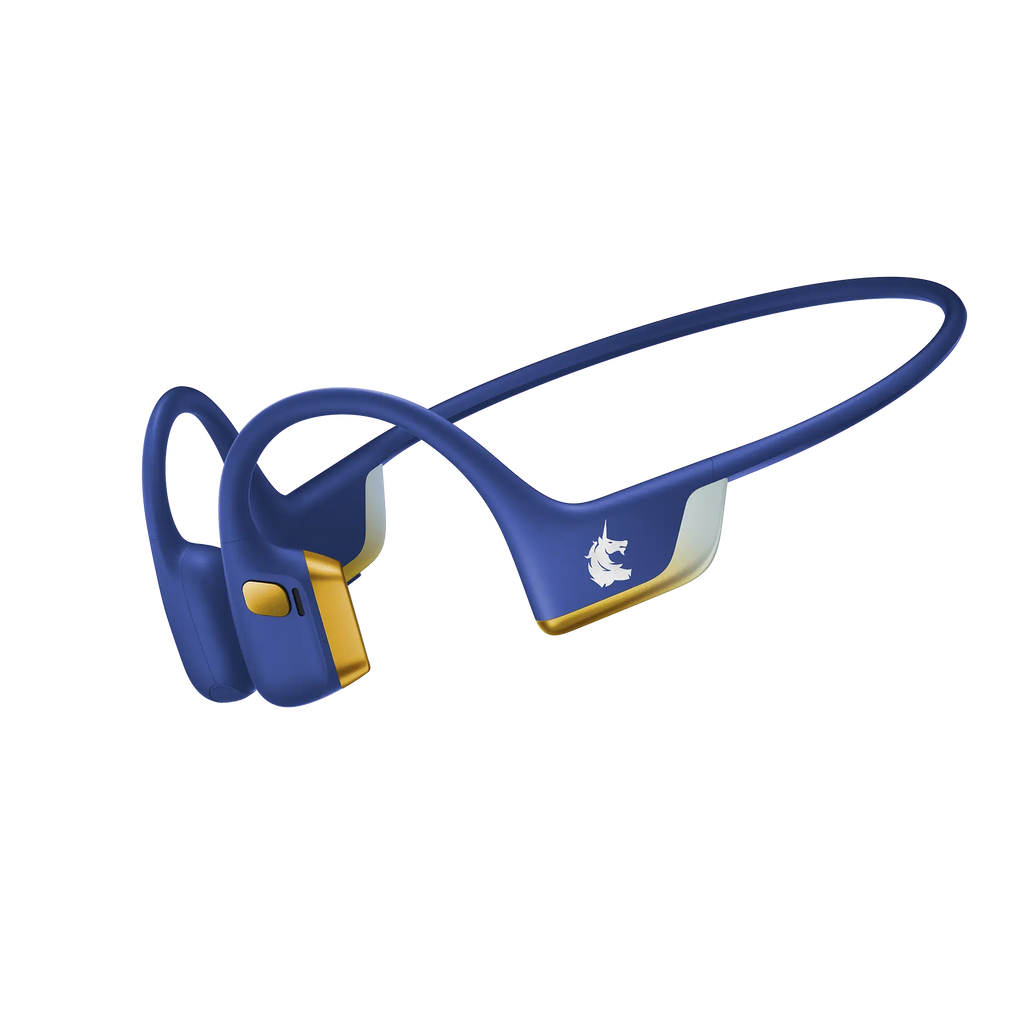 OpenRun Pro 2
